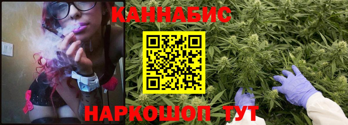 Канабис планчик  Марихуана планчик  Бошки Шишки White Widow  Свободный  Вход с VPN 